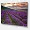 Designart - Lavender Field At Dawn I - Farmhouse Canvas Wall Art Print